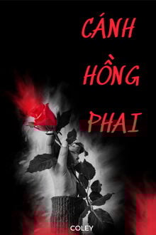 Cánh Hồng Phai (1)