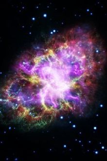 Chiếc Gối Bí Ẩn