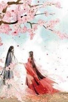 Giữa Mùa Hoa Rơi Gặp Lại Người