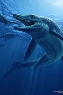 Liên Minh Quái Vật Biển