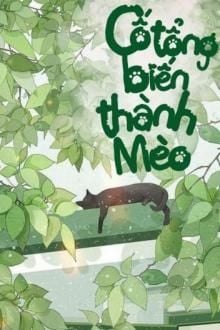 Cố Tổng Biến Thành Mèo