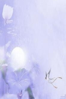 Nam Nam Nương Náu