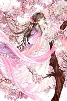 Trung Niên Xuyên Không Ký