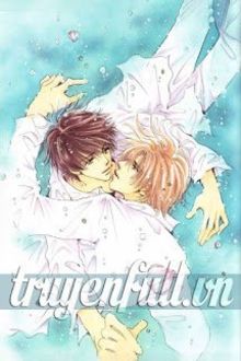 Tình Yêu Nhiều Khi Không Cần Lời Tỏ Tình