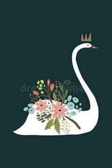 Thiên Nga Trắng Và Ông Xã Tâm Cơ Của Cậu Ấy