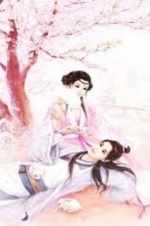 Hồng Nhan Cổ Quái