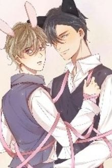 Luận Kết Cục Của Việc Trông Mặt Mà Bắt Hình Dong