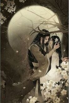 Thất Dạ Sủng Cơ