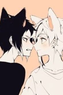 [Fanfic Đam Mỹ] [SessInu] Yêu Một Người Có Lẽ...