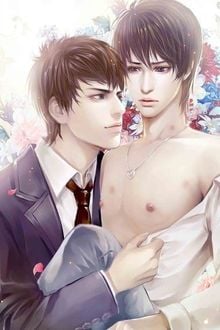 Quy Luật Tình Yêu