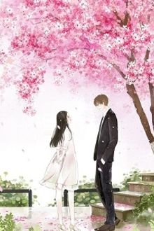 Yêu Anh Từ Trang Giấy