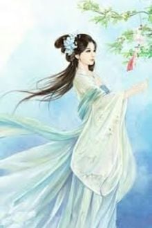 Giang Sơn Chọn Ta, Ta Chọn Nàng